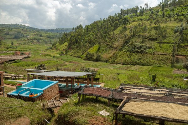 Comment mettre en place un programme de recyclage des déchets électroniques dans les écoles ?